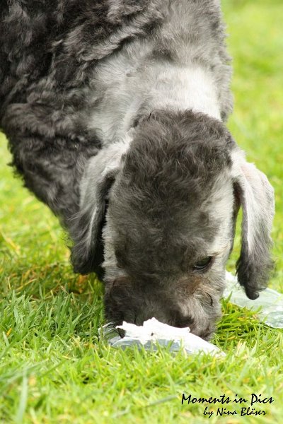 Antares 2009-07-12 (51).JPG